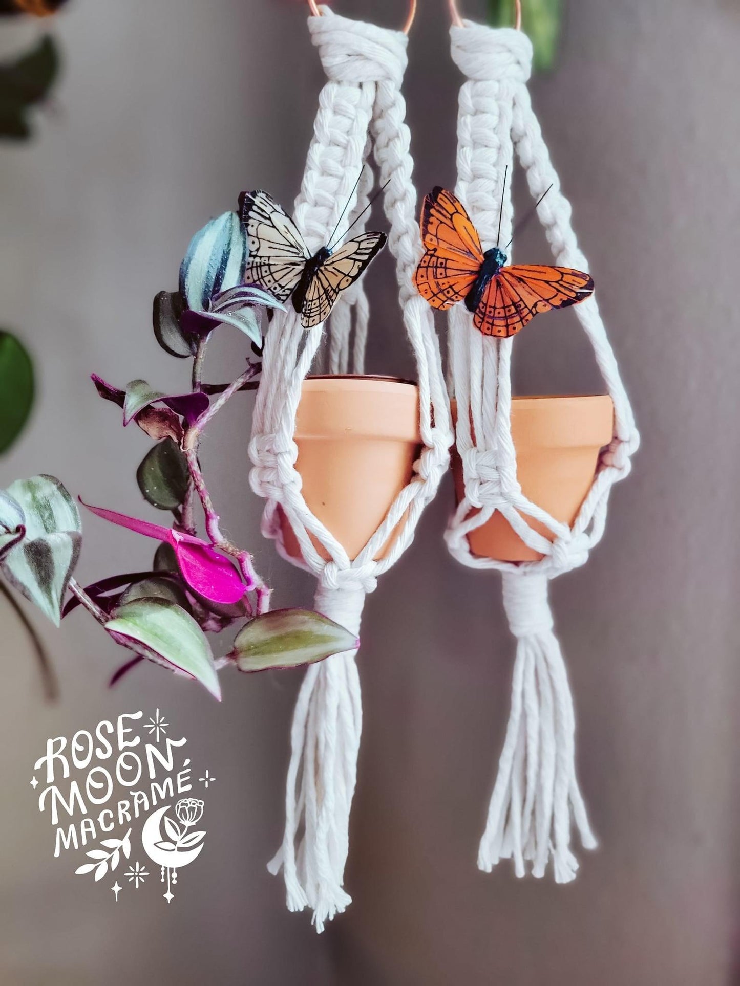 Butterfly Rearview Mirror Plant Hanger - RoseMoonMacrame